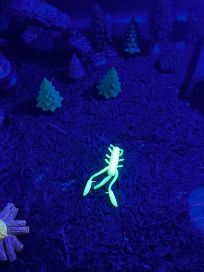 Legacy Fishing Ice Fishing Plastics