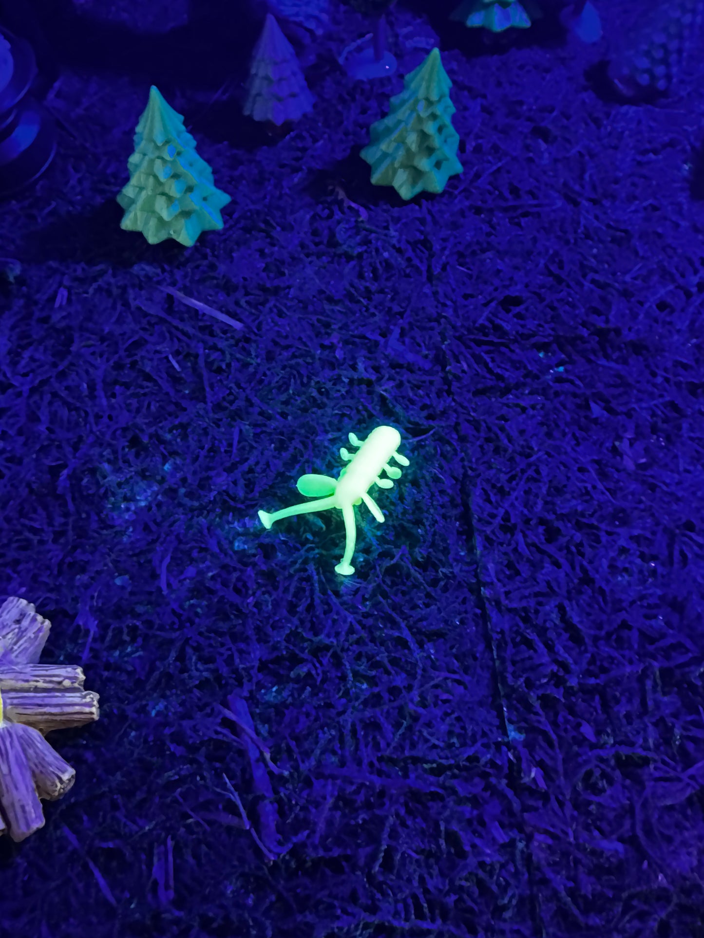 Legacy Fishing Ice Fishing Plastics