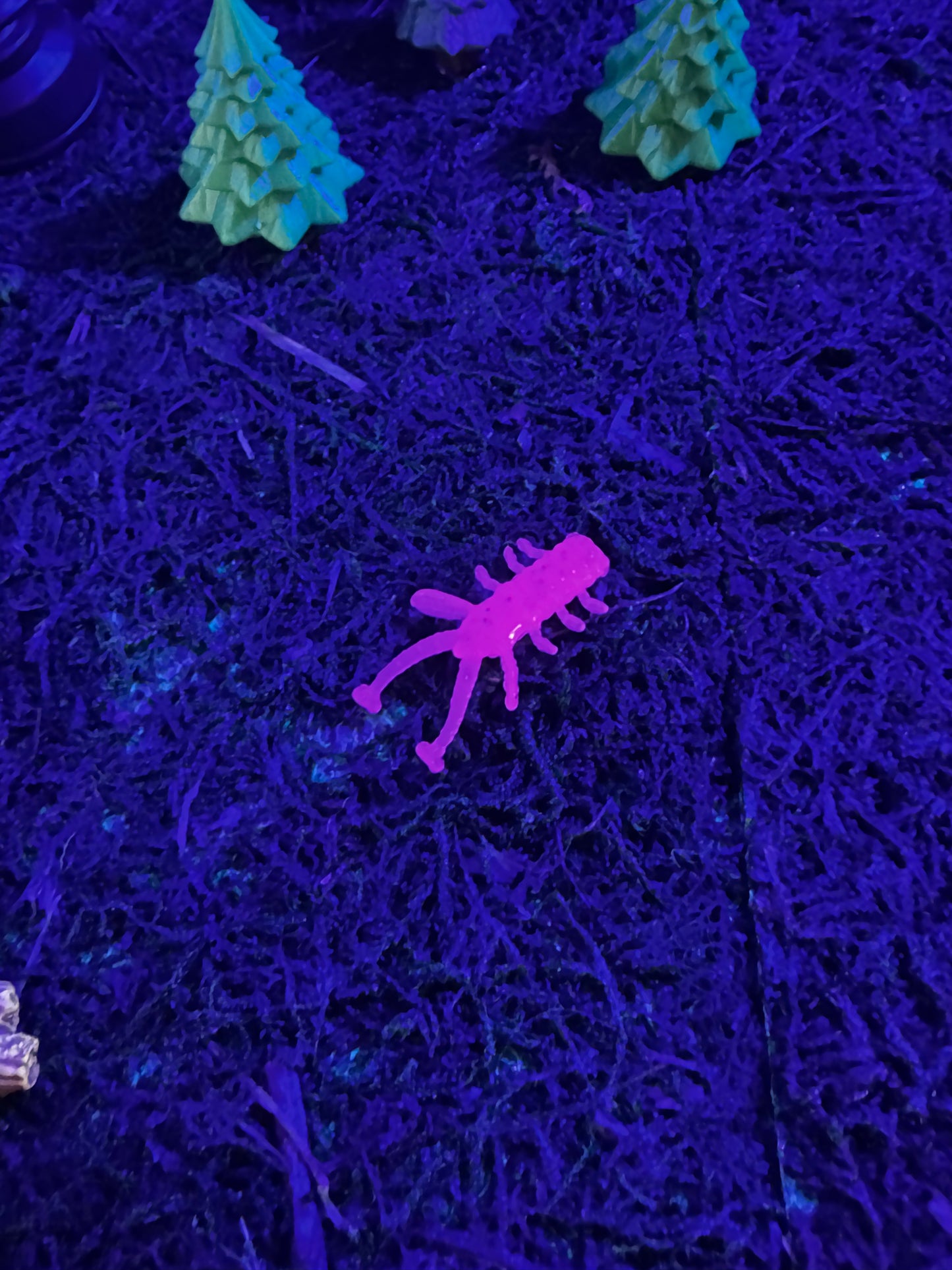 Legacy Fishing Ice Fishing Plastics