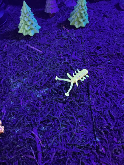 Legacy Fishing Ice Fishing Plastics