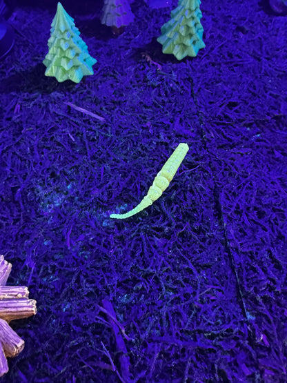 Legacy Fishing Ice Fishing Plastics