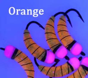 Legacy Fishing Glow Waxies