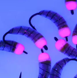 Legacy Fishing Glow Waxies