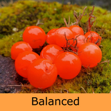 Mercurial Bead - Balanced Buoyancy - Poppin' Peach