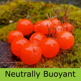 Mercurial Bead - Neutrally Buoyant - Poppin' Peach