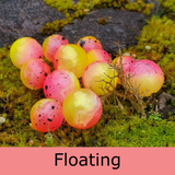 Mercurial Bead - Floating - Water Malone