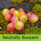 Mercurial Bead - Neutrally Buoyant - Water Malone