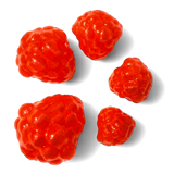 Okie Drifter - Liquid Fire