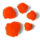 Okie Drifter - Poppin' Peach