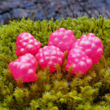 Okie Drifter - Pulsar