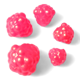 Okie Drifter - Pulsar