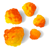 Okie Drifter - The Fish Rizzler